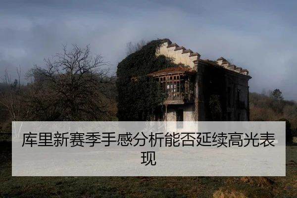 ku-li-xin-sai-ji-shou-gan-fen-xi-neng-fou-yan-xu-gao-guang-biao-xian-2-808.jpg